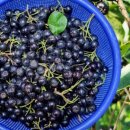 서기농장 이미지