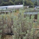 논산계룡축협 동물병원 이미지