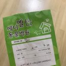 (주)메디엘 이미지