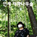 내설악협동조합 | 인제 자작나무숲과 내린천 사륜바이크 ATV