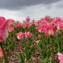 바른맥한의원 이미지