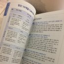 임신 21~22주 일상