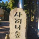 동부-1 | 제주 1박2일 동부 리무진버스투어 후기