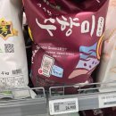 JAJU 전자레인지용 1인 도자기 요리컵 +수향미