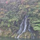 529 | 25년 10월) 네추럴 가든 529 후기🍽