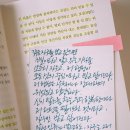 탑티오피
