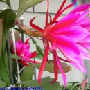 25시노래방 이미지