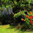 광령지석묘 7호 이미지