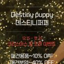 데스티니 퍼피 이미지