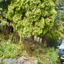 보은군청 생활체육공원 | 부산 북구 덕천 생활체육공원 조용히 단풍 보기 좋은 곳