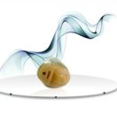 대한보청기 이미지