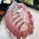1월 2w | 하나하나 해내고 있다!