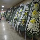 정담의전
