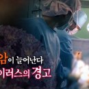 젊은 암이 늘어난다, 바이러스의 경고 [일요 특선 다큐멘터리] 이미지