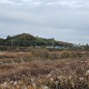 비봉자전거 이미지