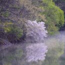 소요 16-세량지(細良池)의 봄 시조/반산 한상철 이미지