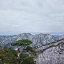 계룡산 산행 장군봉부터 삼불봉 자연성릉 관음봉 동학사계곡으로 2023.12.19.