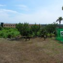 강정동-49 이미지