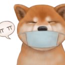 민타카디테일링 이미지