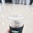 캐리짐 | 제주공항 짐보관 짐캐리 이용 후기 뚜벅이 여행 짐배송 서비스 추천