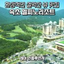 비에이치씨강원토성점 | 속초 델피노 리조트 소노펠리체 골드스위트 취사 후기