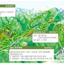 오크밸리골프장 이미지