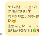 돌봄 | [펫봄] 돌봄님으로 3회 활동 후기🫶🌟/펫봄 알바/펫시터 알바/펫봄 돌봄님 후기