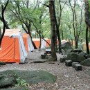 서울대공원 캠핑장 이미지