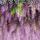 창북중학교 도서관 이미지