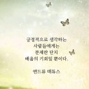 ☆ 삶의 기억을 잊으버리는 사람들 이미지