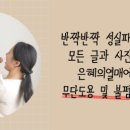 [학점은행제] 통합실습 이미지