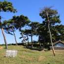 보령 요산군 이기사당 | 반정 (反正)