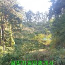 관음2리 이미지