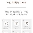 다비치안경 세종시청앞점 이미지