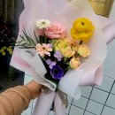 플로리포레 이미지