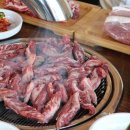 살살녹소 이미지