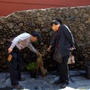 천년약속 이미지