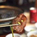 이리한우2호점 | 홍대 한우 맛집 솔직 리뷰 | 목벌 홍대본점 식사 후기