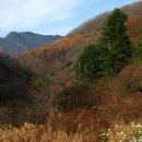 명지산 1267m 경기 가평군 하면--북면 이미지