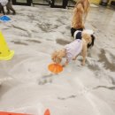 훈트하임 이미지