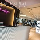 옐로우짐 용산본점 이미지