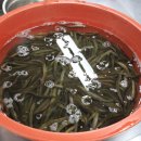 무지개종합시장 이미지