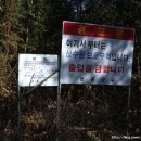 삼비산등산로 이미지