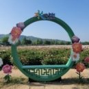 현동로 네이버블로그