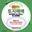 쑥쑥공인중개사사무소 이미지