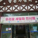 우리 꽃 세밀화 이미지