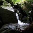 성암초등학교 이미지