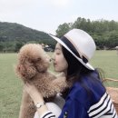 송산유원지 이미지