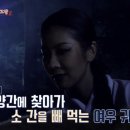 갈무리라이브 이미지