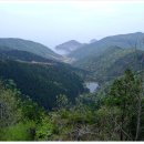 남해편백자연휴양림 이미지